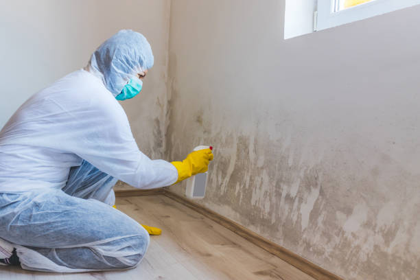 Hvac And Air Duct Mold Remediation inspection of HVAC system in Cheltenham